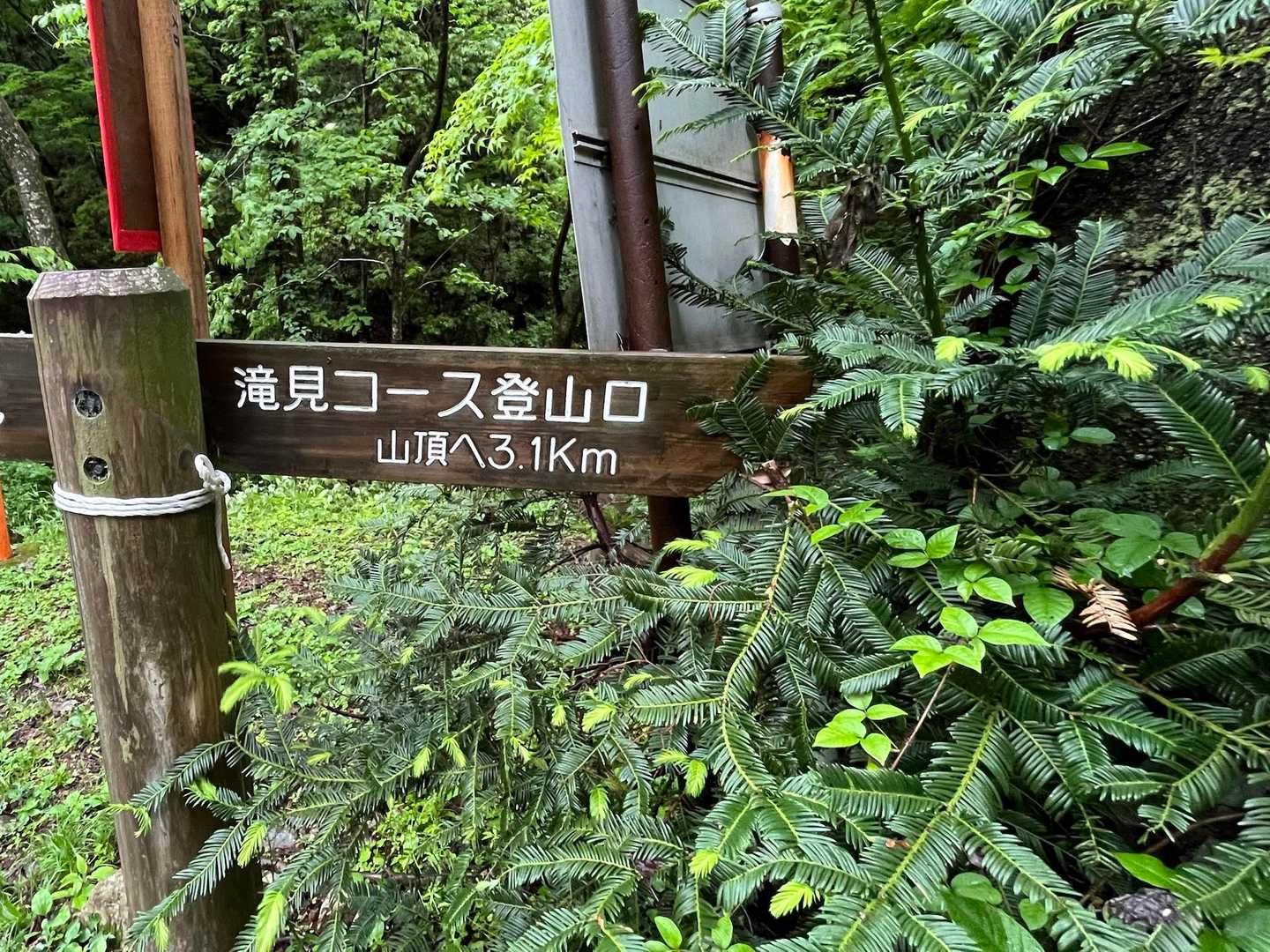 滝見コースを歩きました