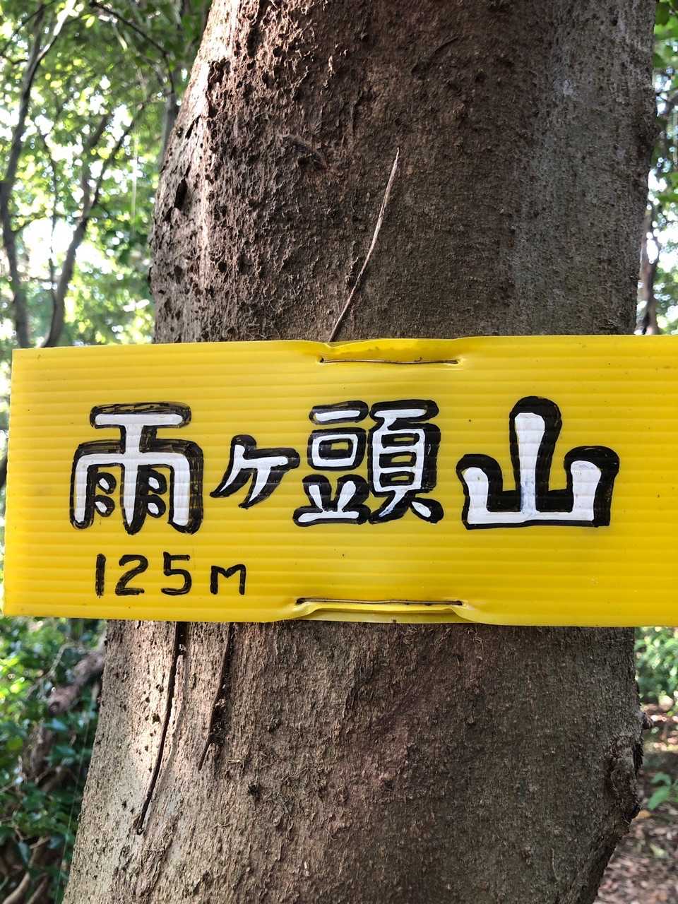 雨ヶ頭山山頂です⛰
眺望はありません😌
右膝も痛くなってきたー🥲