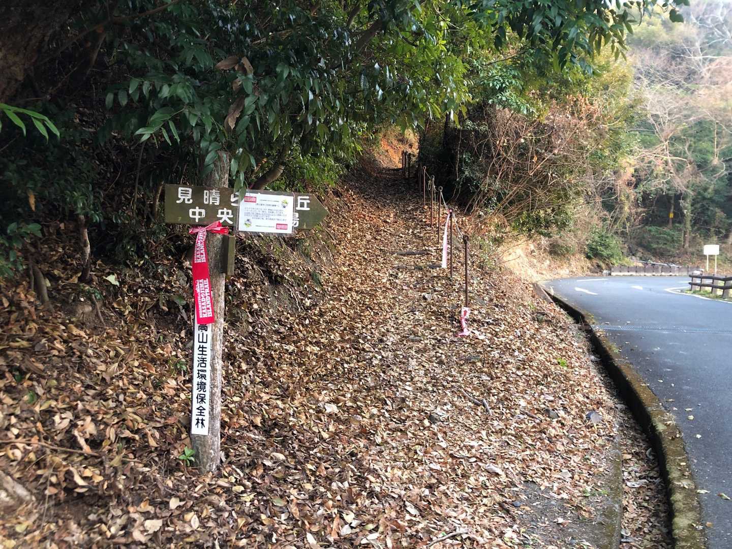 奥畑山-白浜山-スカイ3号ハイキングコース入口-江ノ浦山- 周回コースの写真