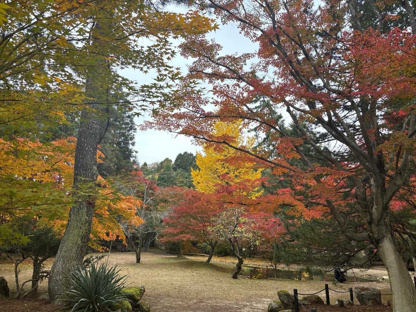 曽良山登山口-曽良山 往復コースの写真