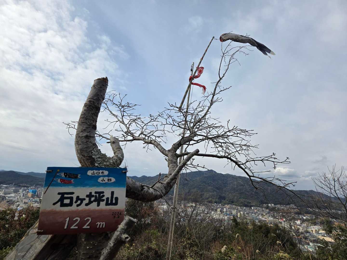 🎏着いた🙌