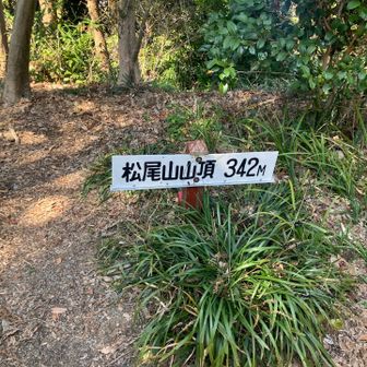 松尾山山頂