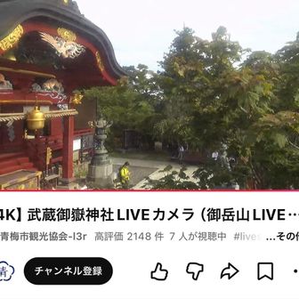 記念に御嶽神社LIVEカメラに映ってみたら
見事なストレートネックだった私。

首凝り肩凝り酷いわけだわよ😭