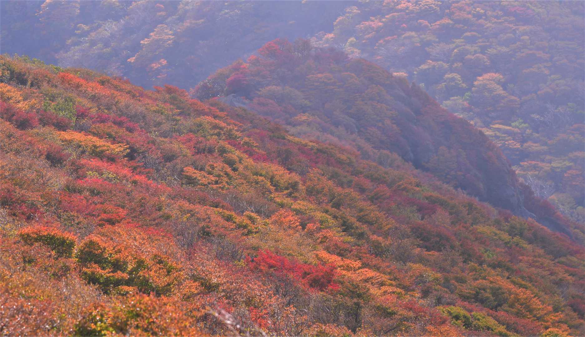 段原にあがるときれいな紅葉が迎えてくれたけど、空が曇ってきた。