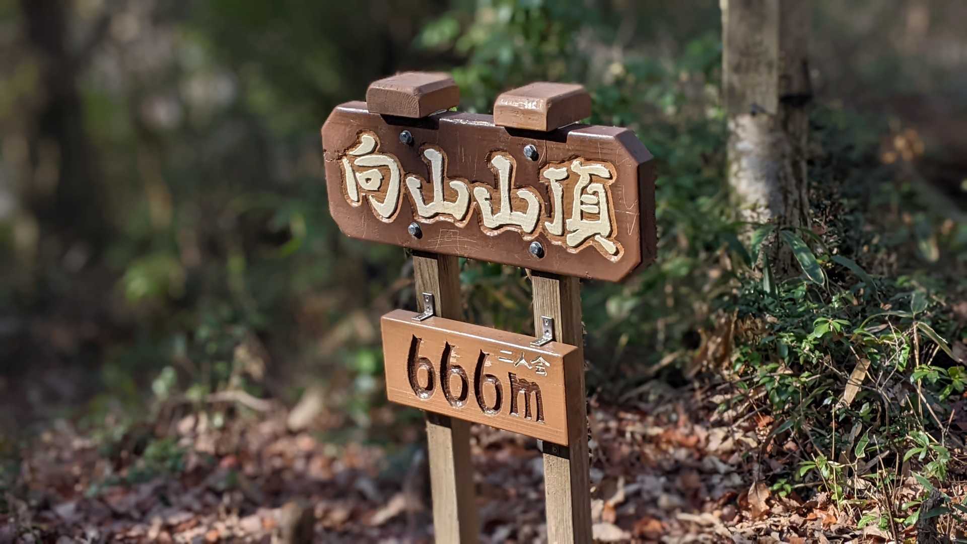 向山 山頂 ！
666m⛰