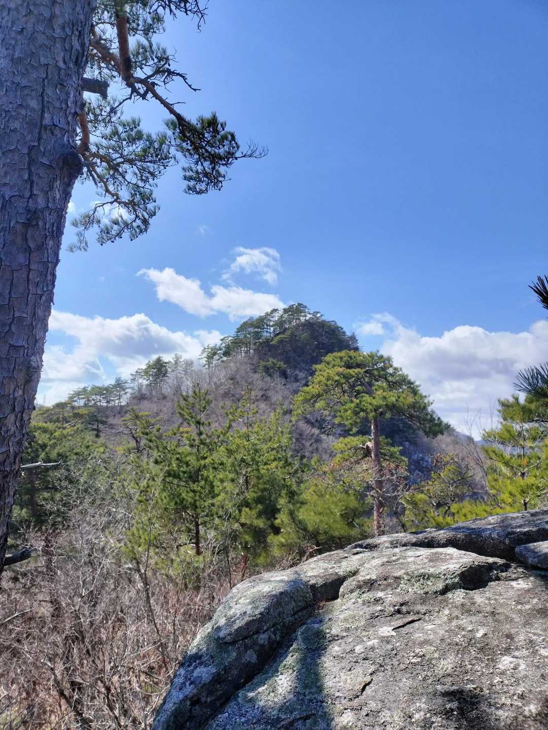 岩岳 周回コースの写真