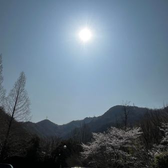 最後まで見て頂きありがとうございました🙇‍♂️