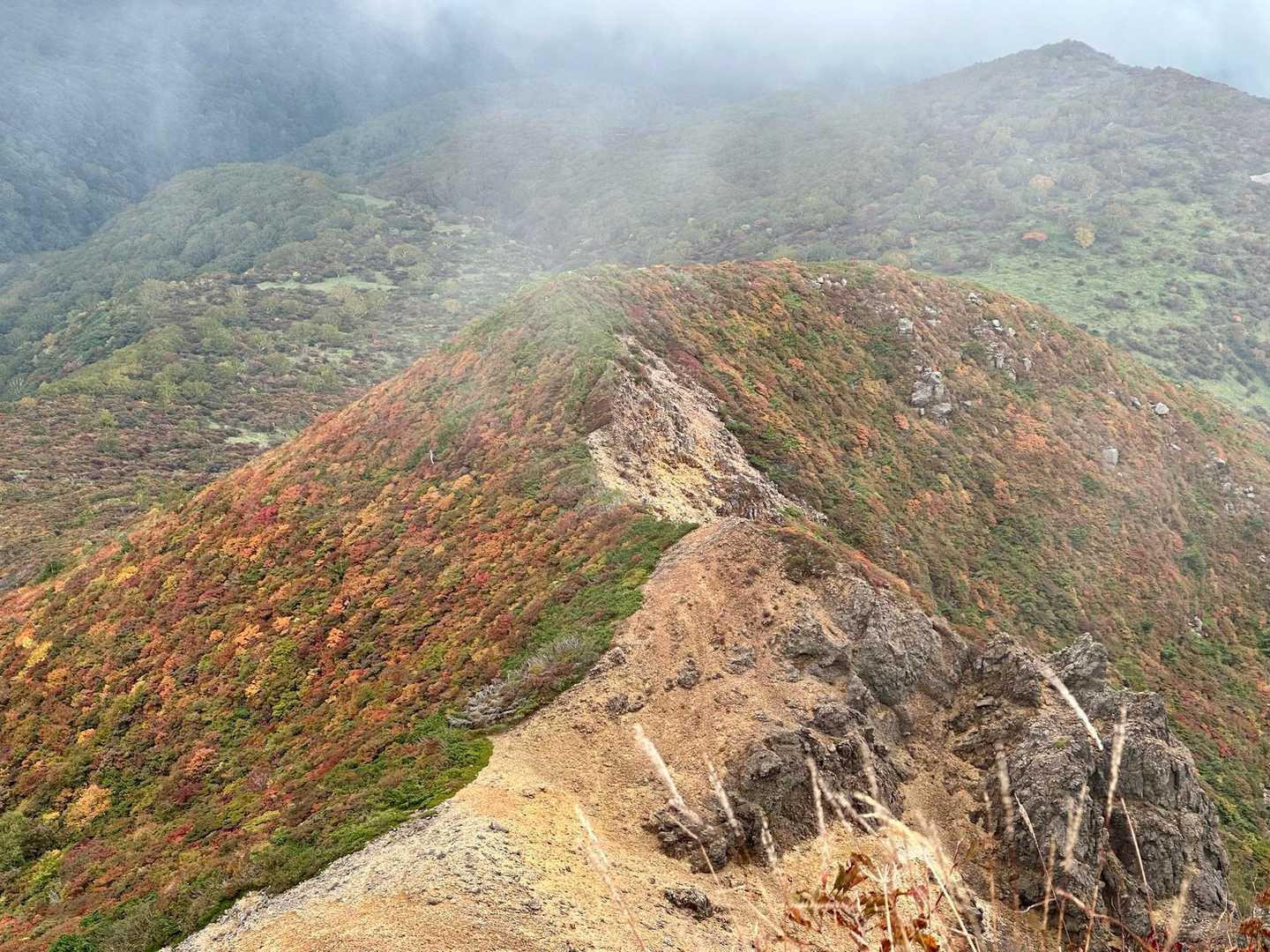 山頂の先はかなり紅葉が進んでいて、綺麗なオレンジ色に思わず声が出ました😆