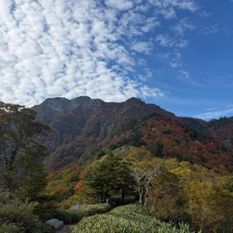 ここからの景色綺麗だったなぁ
