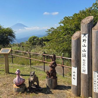 山頂到着🙌
木彫りの動物🦆🐕️🐰がたくさんいて、地元の人に愛されてるお山なんだなぁー🥰