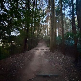 僅かな光を頼りに✨️