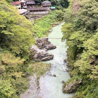 雨の後じゃなければ、もっと水がきれいなのかな？