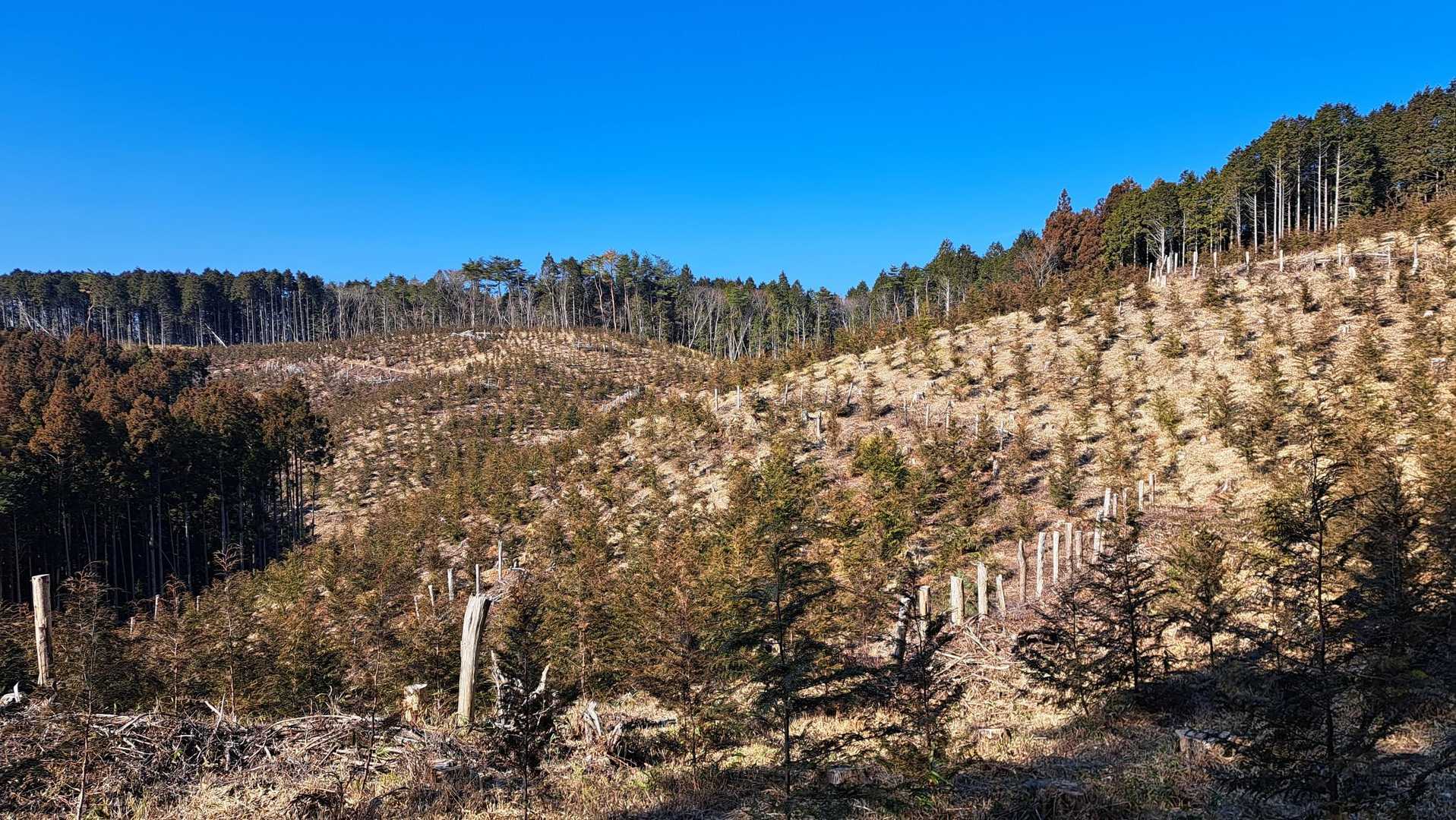 ここは不思議な絶景
個人的にはオススメです👌