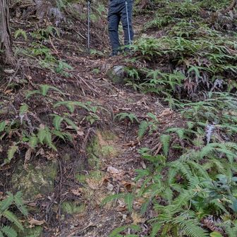 達磨岩の方から降りても良かったのだけれど、敢えて破線のルートへ