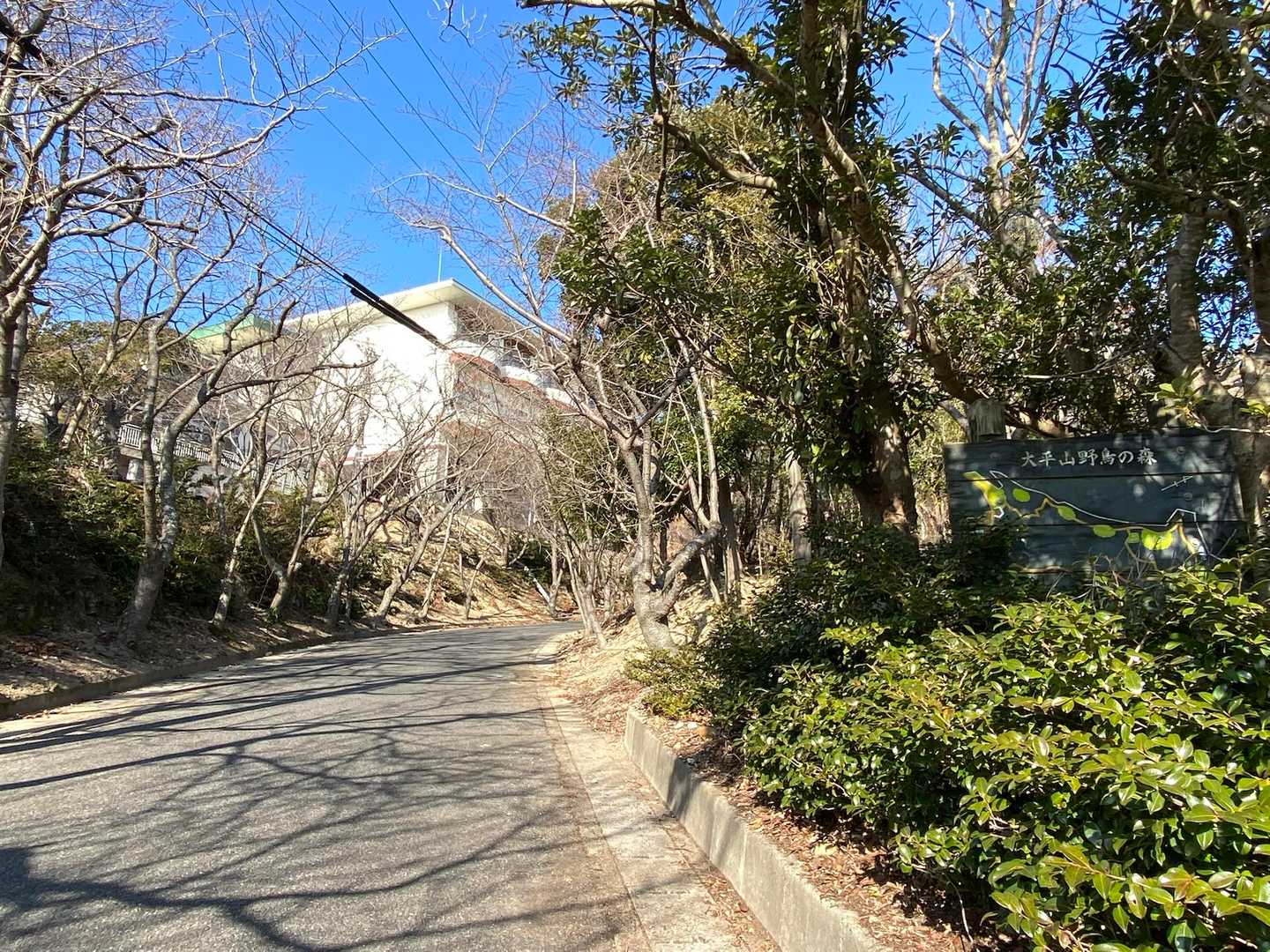 車道に合流