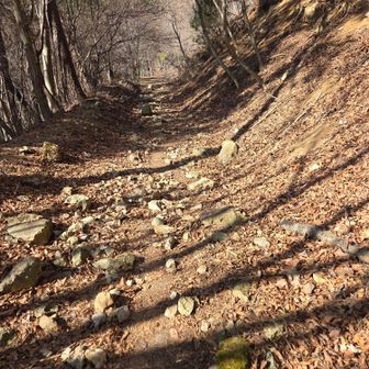 このぐらいだと歩きやすいけど