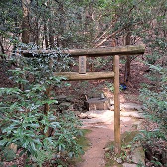 神社の奥に山頂付近への直行ルートがあるようです。