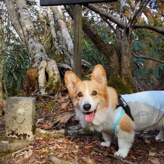 『御祝山』登頂🚩