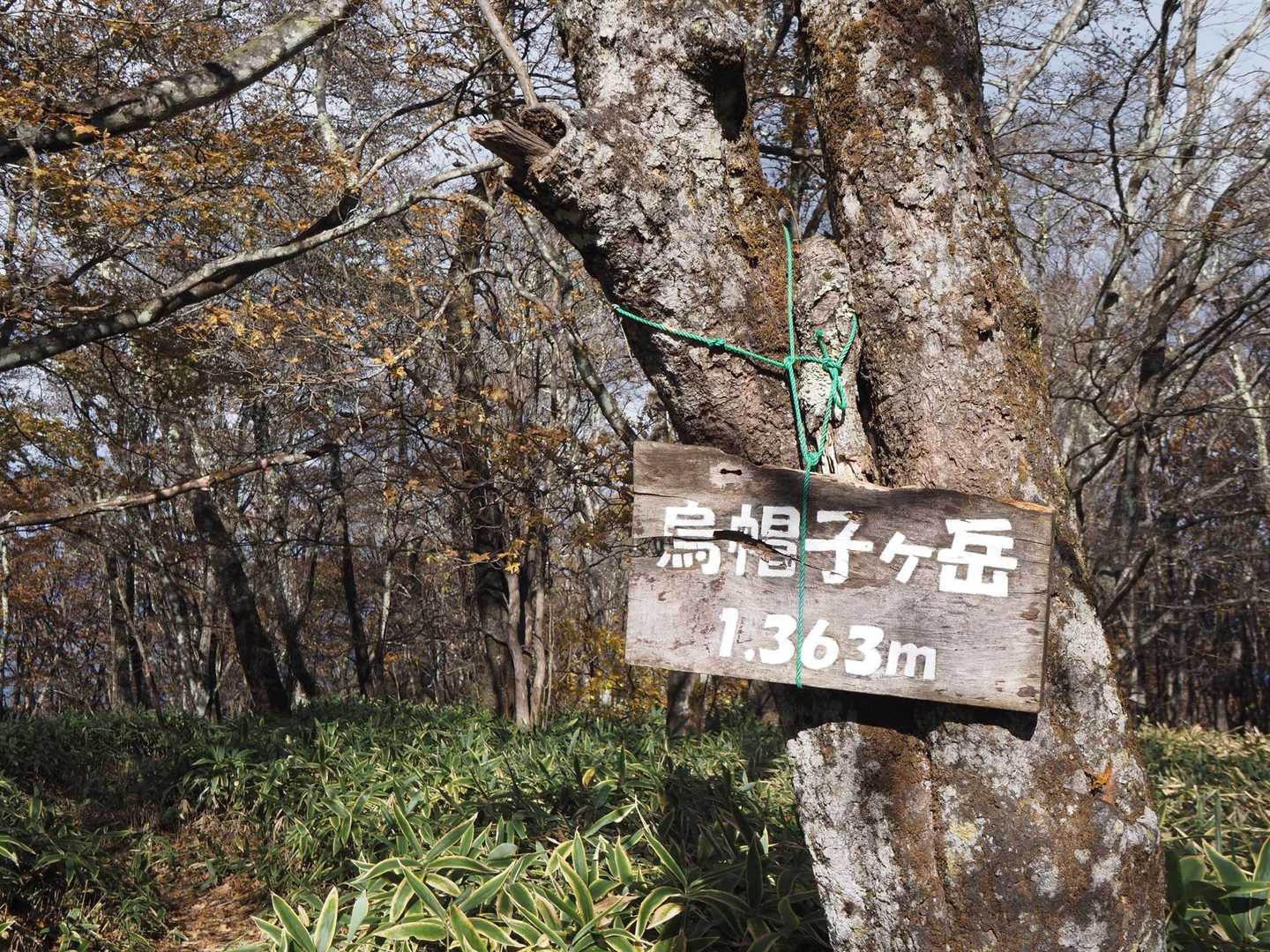 烏帽子ヶ岳　山頂٩(^‿^)۶
