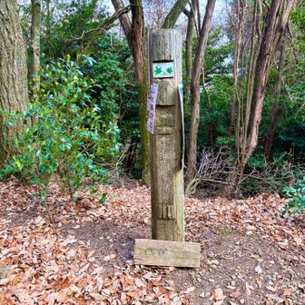 分岐からショートカットして牛尾山ピークを取りに行きました。
下の板に山名表示してあったのかな？

右手のパノラマ台へも寄り道し、またここまで戻って来て次は左手へ。
ここから音羽山までは東海自然歩道です。
懐かしい❗️京都は🍁マークなんですよね。