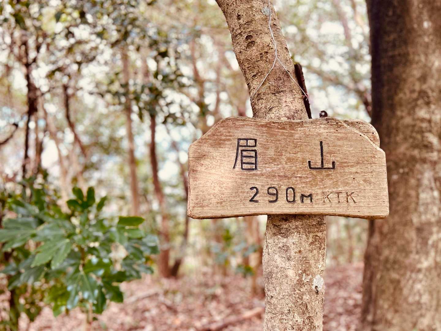 歩きやすい道