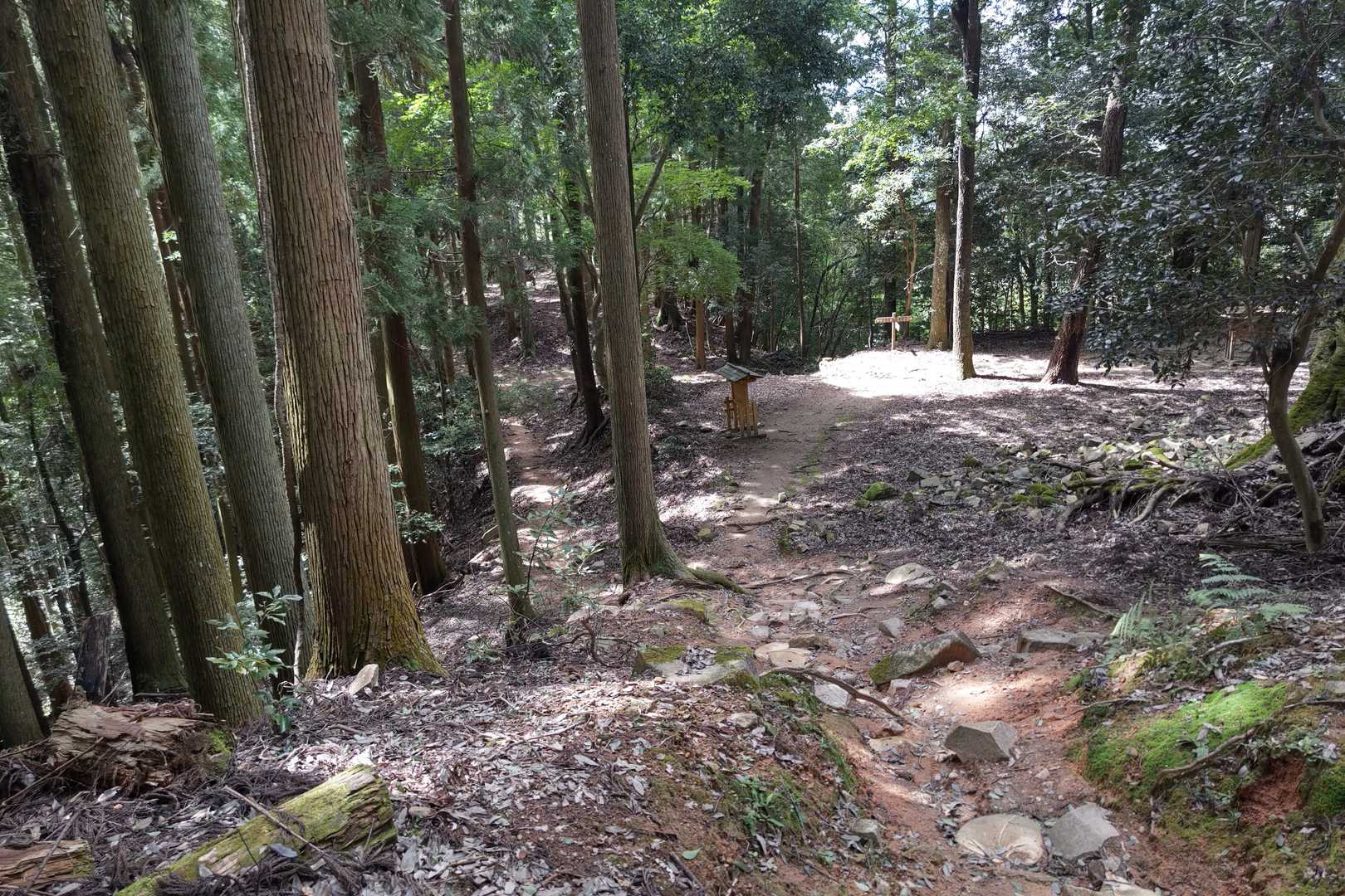 タッチしたらすぐに下山(笑)
娘を待たせてますので😅