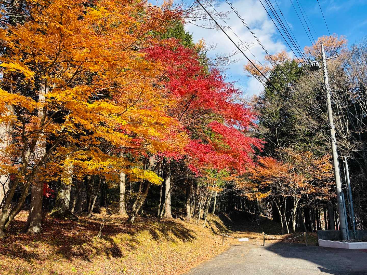 烏帽子岳登山口-烏帽子岳登山口バス停-榛名高原学校入口バス 周回コースの写真