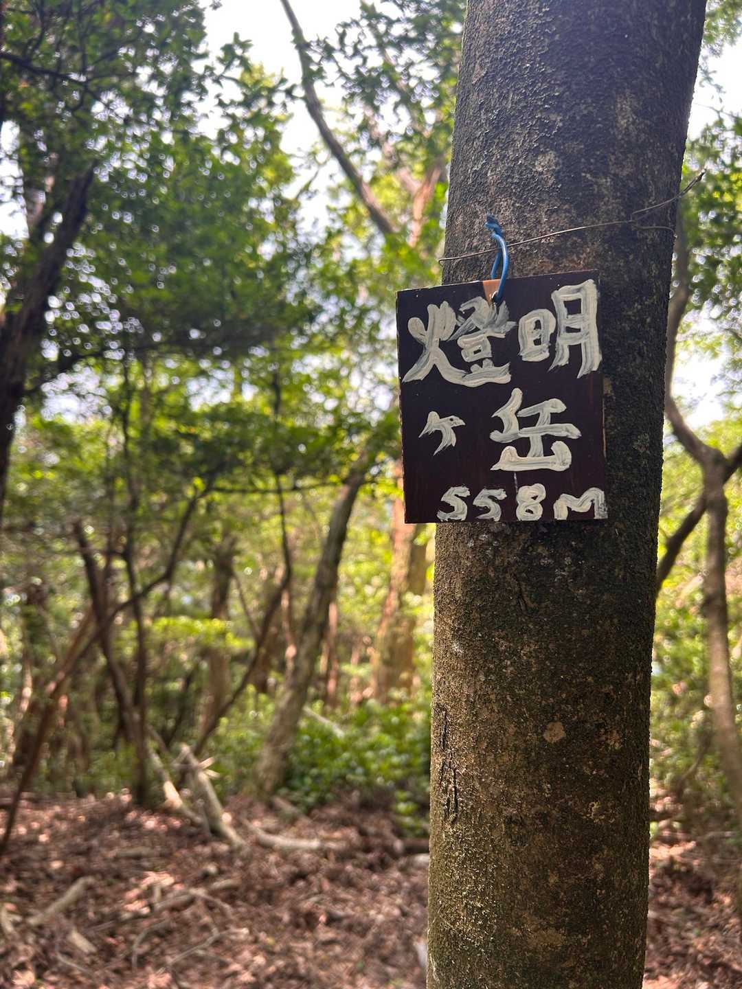 はい、グイッと登って燈明ヶ岳⛰️到着🙌

さっきの経塚権現山の方が眺望あるし、風も通るのでそちらへ戻って、しばし休憩🥤