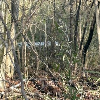 おかげで山の目玉を見下ろす事ができました😆