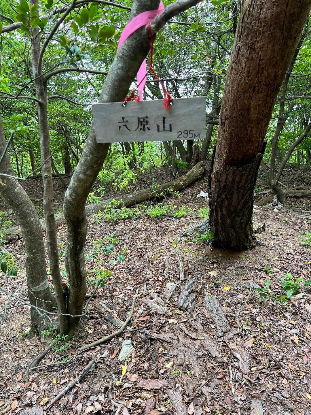 太尾城跡遊歩道入り口-太尾山-六原山-湯谷神社側登山道入口 周回コースの写真