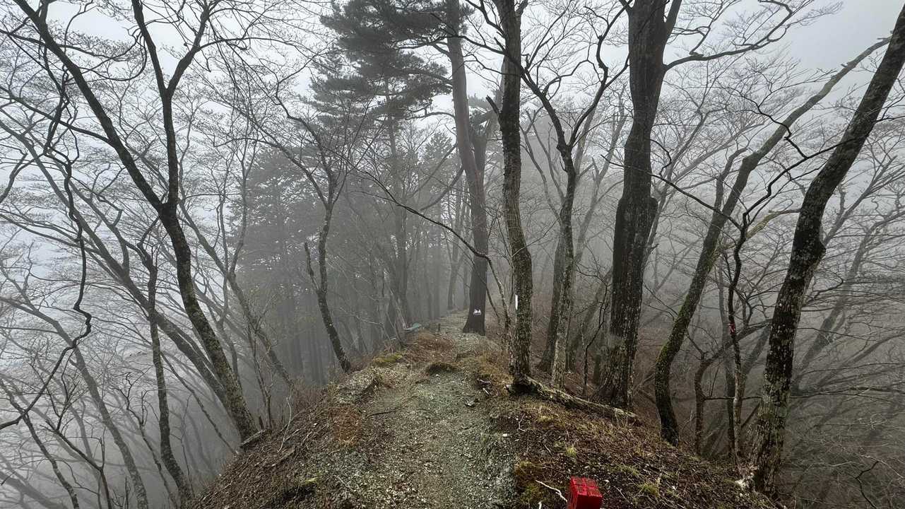 鍋割山・塔ノ岳・烏尾山縦走 の写真 14