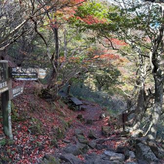 鳩穴分かれとの分岐　真っ直ぐ国見分かれへ