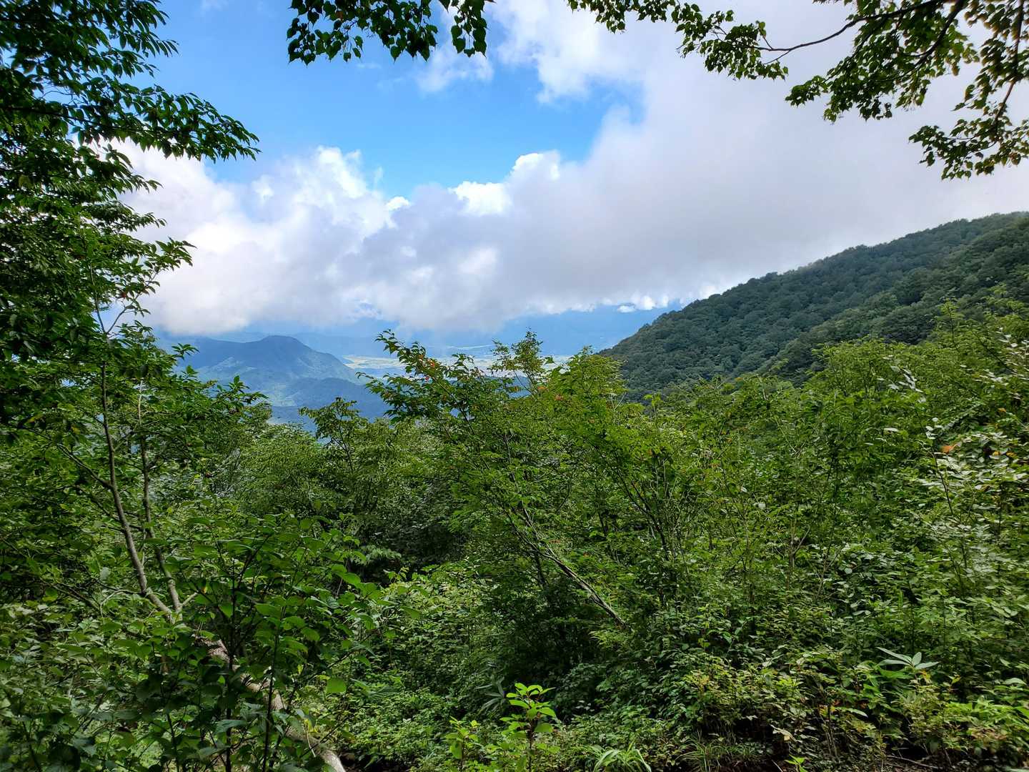 小葉谷登山口-銀杏峯-名松新道登山口 縦走コースの写真