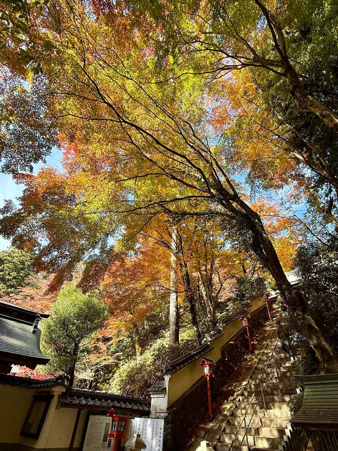 いいね🍁