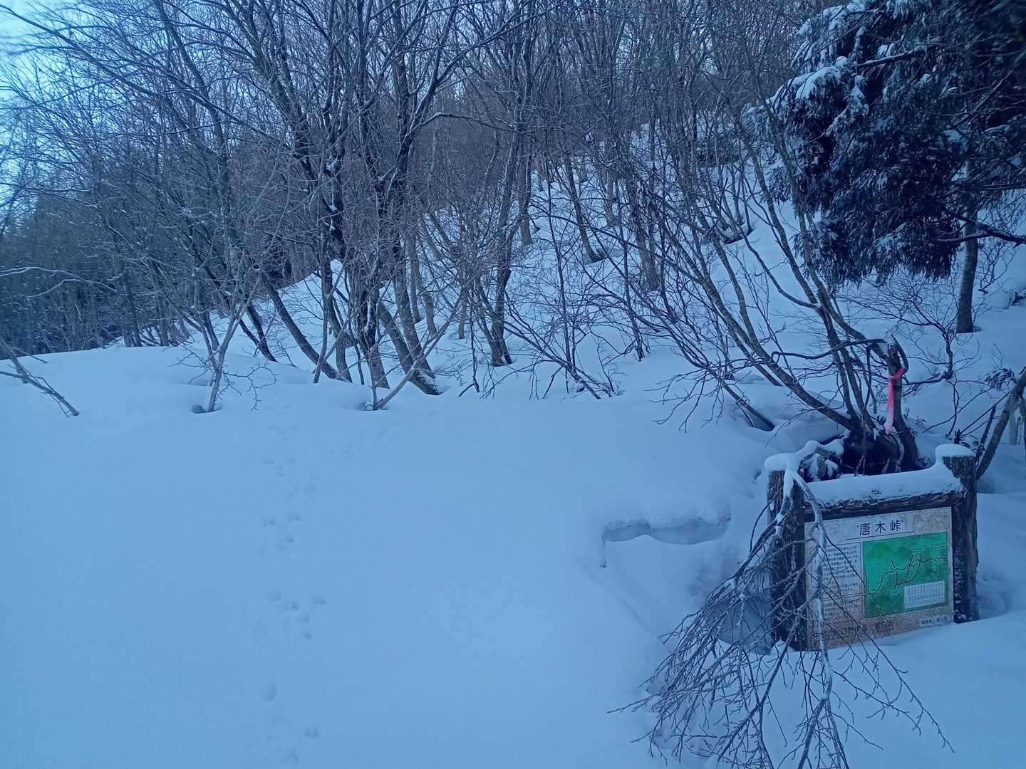 唐木峠。例年であれば、看板が雪で完全に埋もれているので、今年はかなり雪が少ないです。