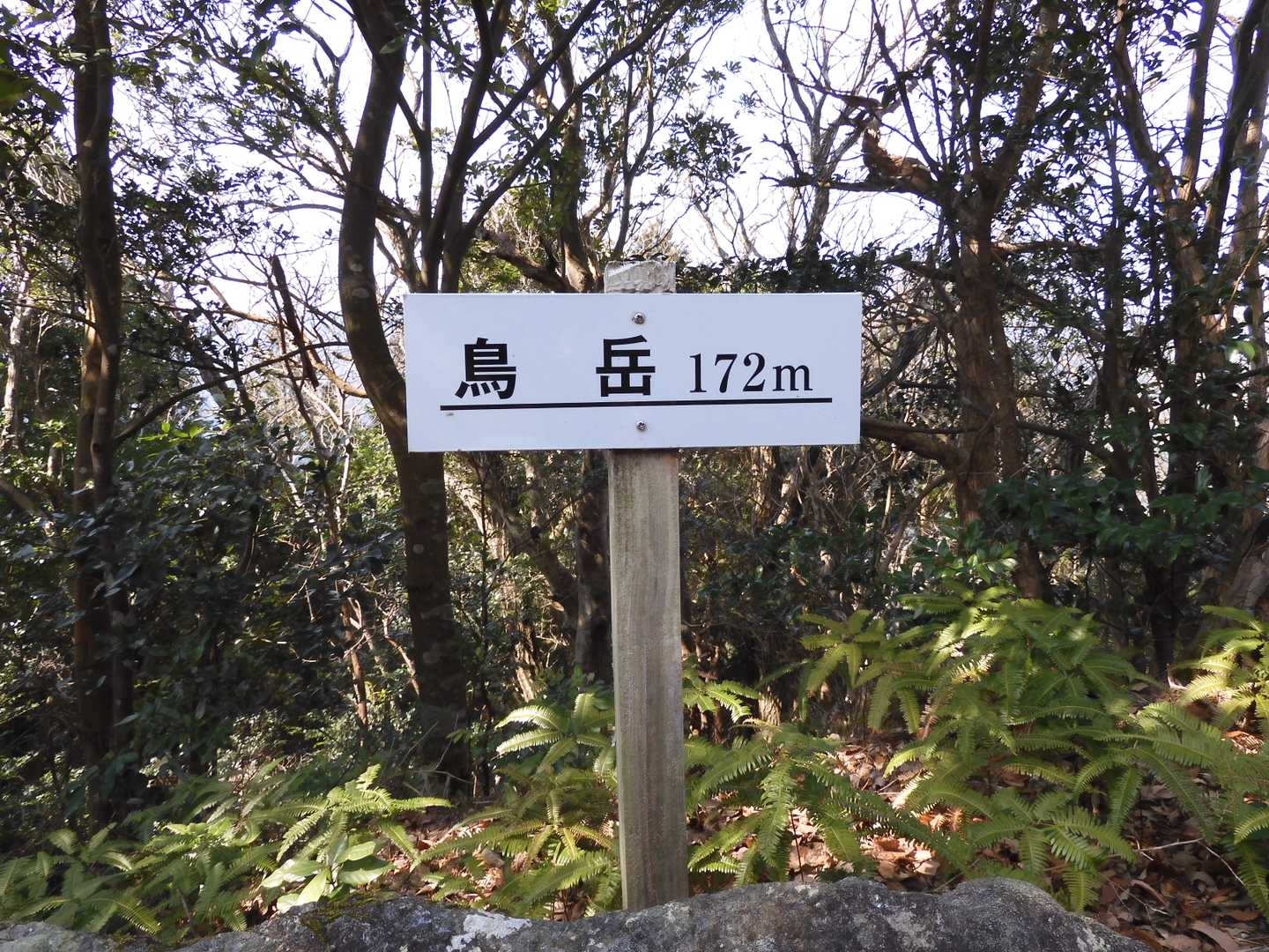 烏岳（からすだけ 172ｍ）山頂 
山頂標識は鳥岳（とりだけ？）になっていますが...？ 
※地理院地図（当然YAMAPも同様）も鳥岳（とりだけ？）になっています。