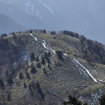 富士見台へと続く白い登山道