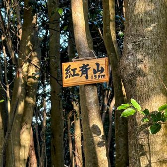 読み方
こうさいやま
で良いのかな？