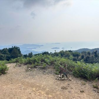 日本海が見えて、見晴らしがとてもよかった。
