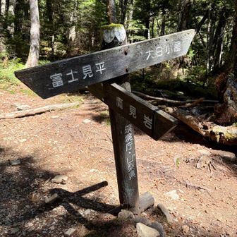鷹見岩の分岐
岩って書いてるけど立派なピークでした⛰️