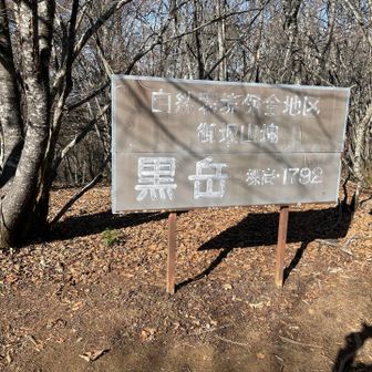 戻ってきました。次に行きます