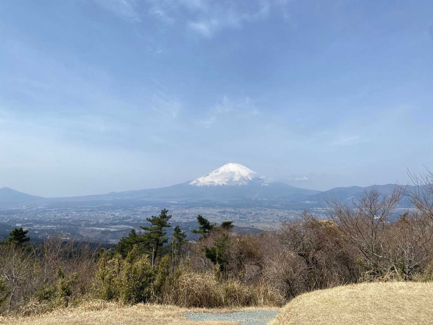 足柄城址からの富士山、遮るものがなくて美し過ぎでしたー✨