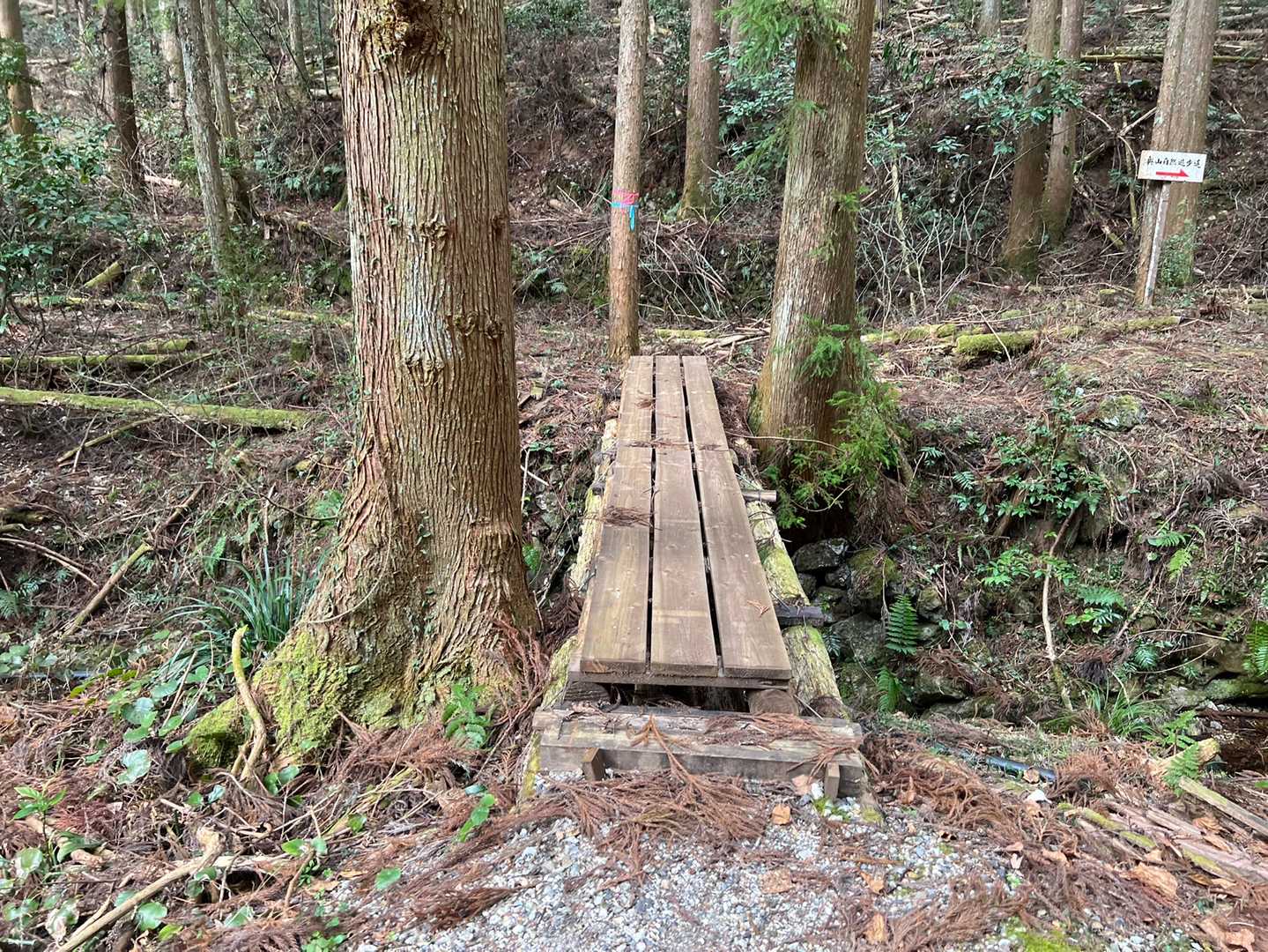 橋渡りまーす
