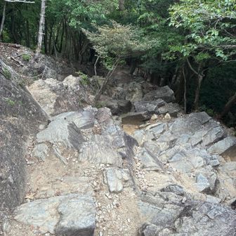 本宮山⛰️のゴジラの背ならここかな😆
わかる人、本宮山検定２級😎