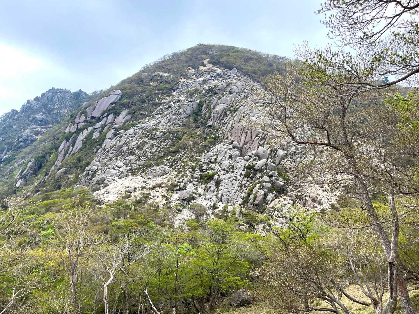 岩🪨ゴツゴツの山肌