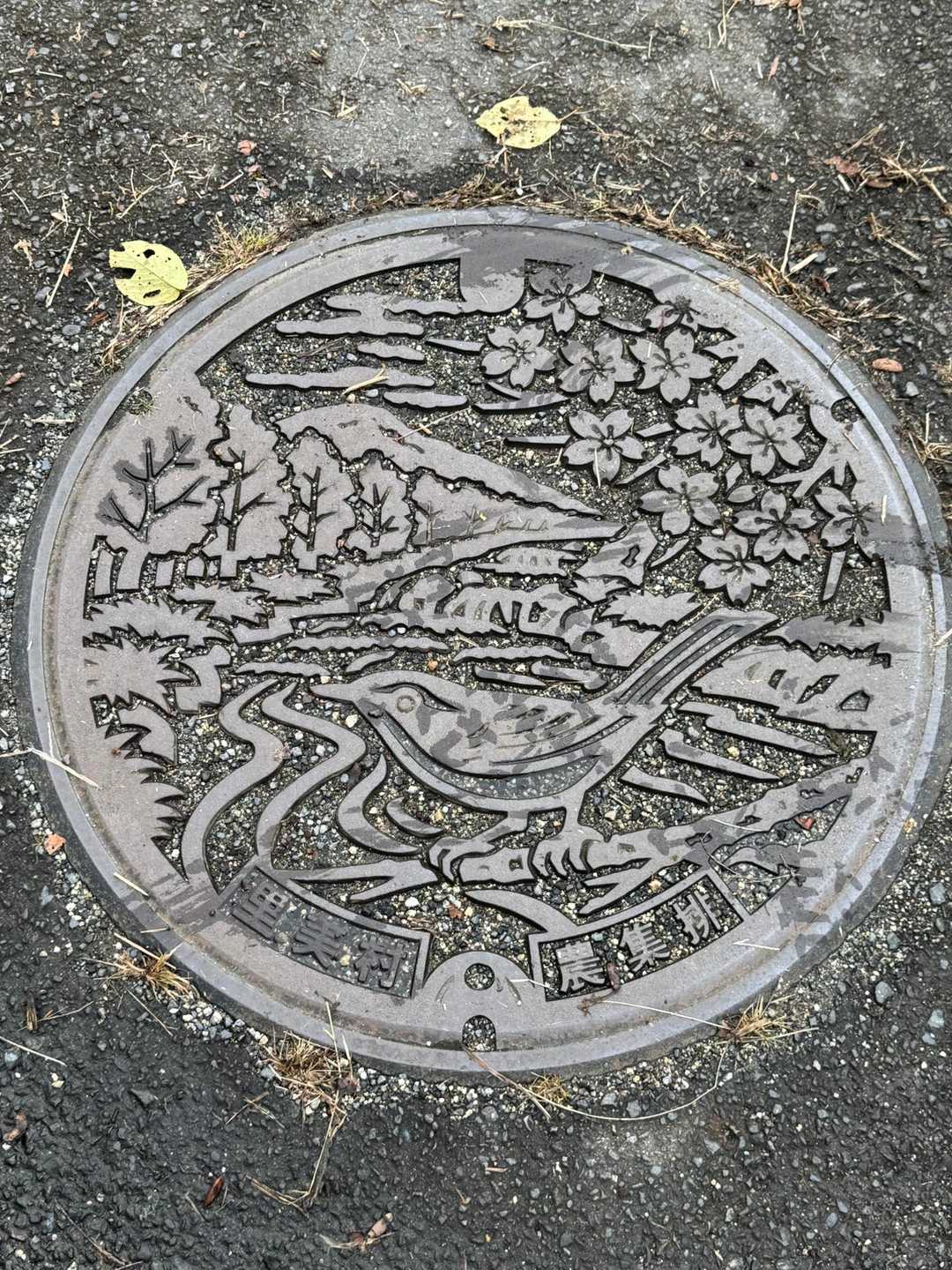 ご当地マンホール🕳️