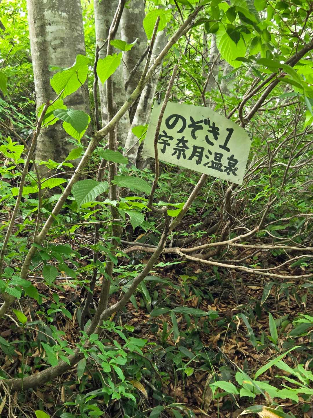 展望ポイント。のぞき1　宇奈月温泉が見下ろせる。