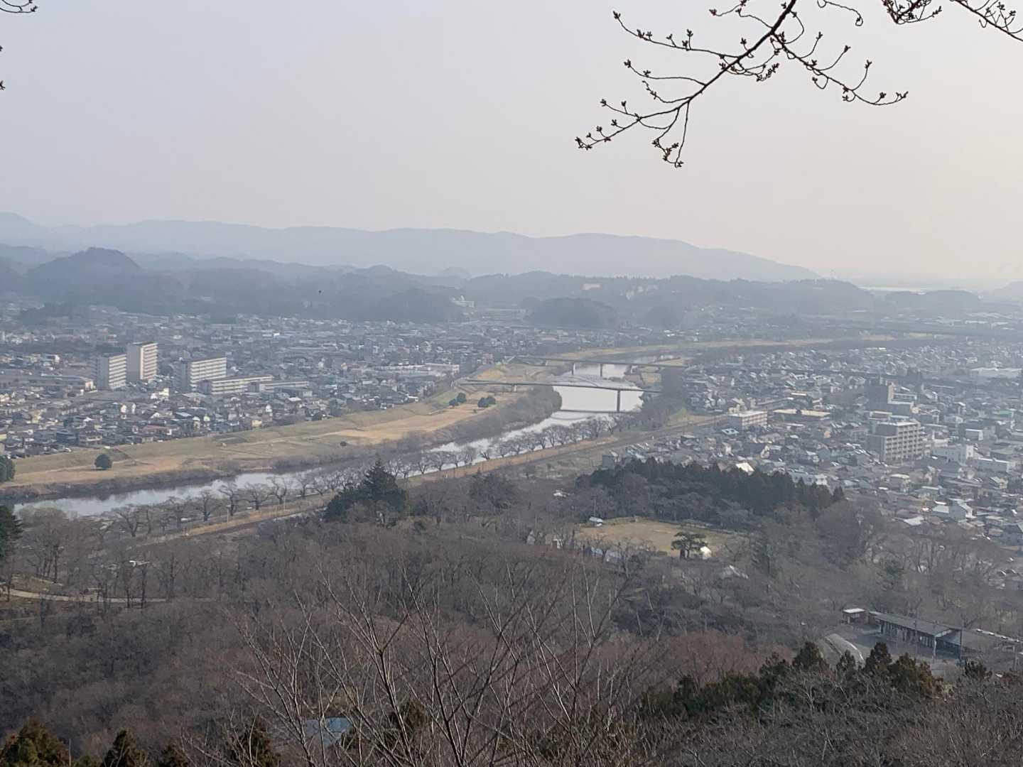 白石川、ソメイヨシノはまだまだ