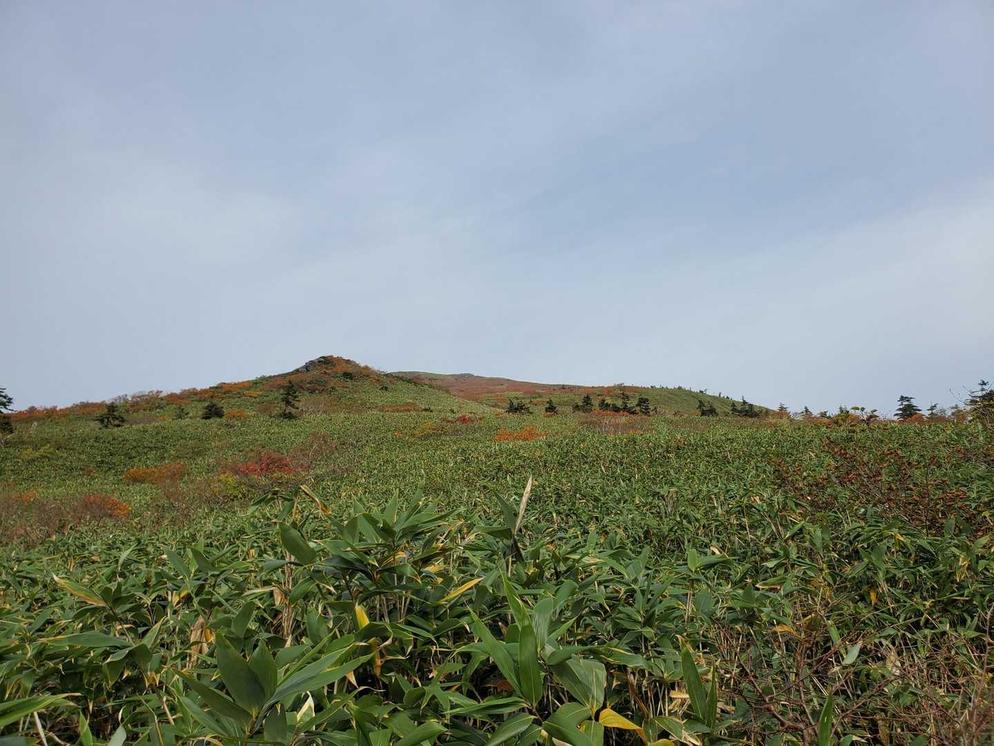 第3リフト降場-大松倉山-三ツ石山 縦走コースの写真