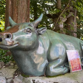 「宝牛」本堂の右に鎮座する牛の銅像
以下住職さんが教えてくれました。
昔は大山寺の近くに牛馬市があって関西、岡山、広島、島根から牛馬が集められ博労座として栄えていた。この宝牛は牛達の慰霊のために、牛の鼻カンを遺骨として集めて鋳造して牛の像にして祀ったそうです。
鼻を撫でると願い事が1つだけ叶うらしい。。